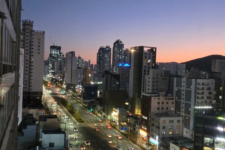 🐶 서면프리미엄펫스테이 2번째 이미지