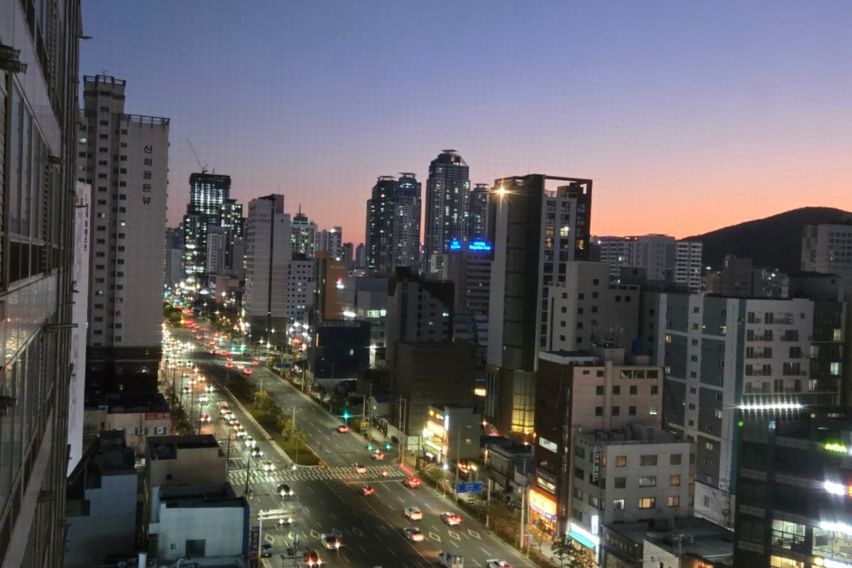 🐶 서면프리미엄펫스테이 2번째 이미지