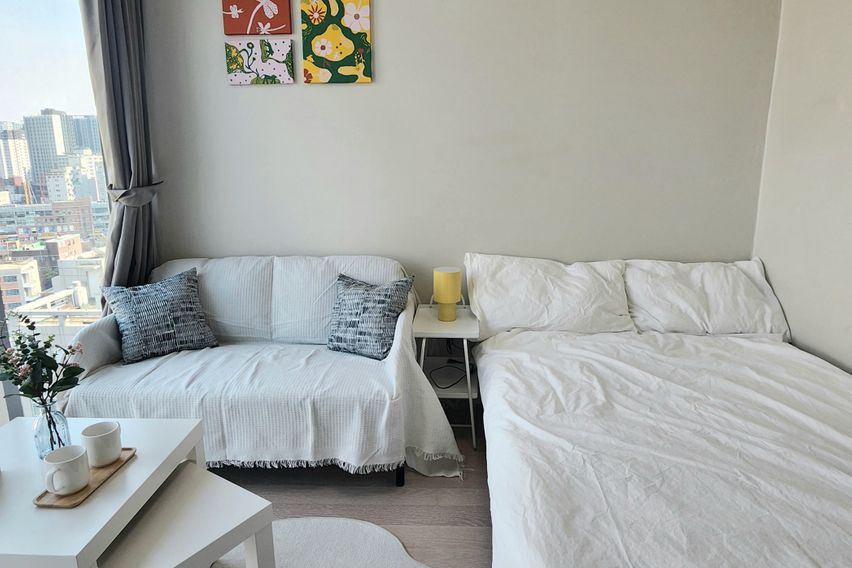 종로 동대문 sky통창