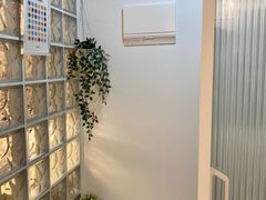 옐로우량가 19번째 이미지