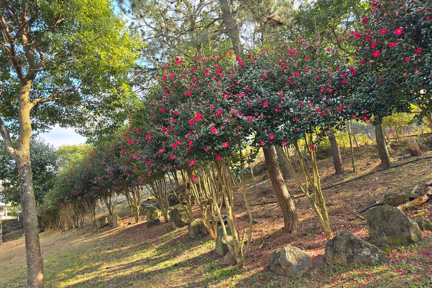 푸른숲8동반려견동반 8번째 이미지