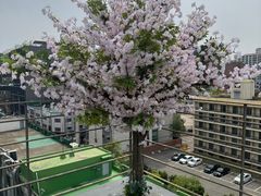23평 벚꽃성수살이 4 14번째 이미지