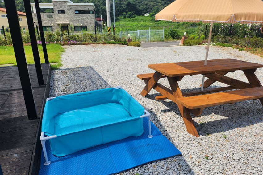 슈가스테이  8번째 이미지