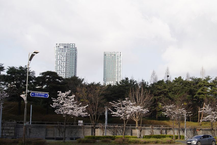 송도 여성 쉐어하우스A