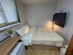 오드 스탠다드 305 1번째 이미지