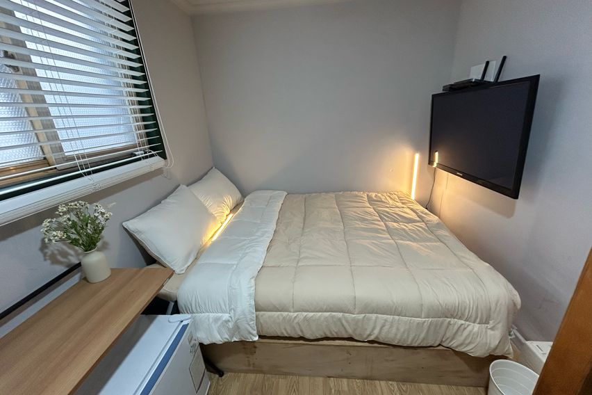 오드 스탠다드 305 1번째 이미지