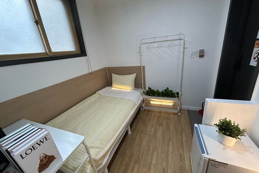 오드 스탠다드 105