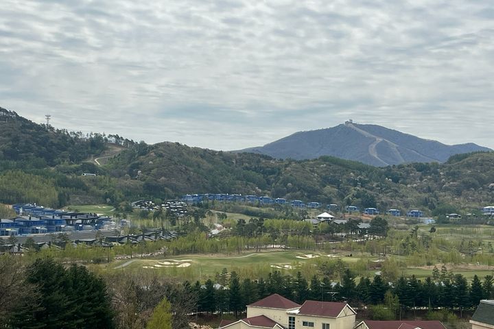 ⛷️대관령용평&알펜시아🐏 12번째 이미지