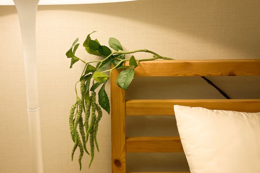 신축오피스텔💕할인중 1번째 이미지