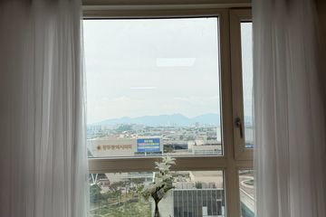 오픈🧡상무망고STAY2
