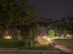 특가🌿딥그린 하우스 10번째 이미지