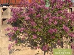 A leisurely country house in Gachang 9th image