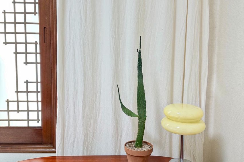 여성쉐어)노을하우스R1