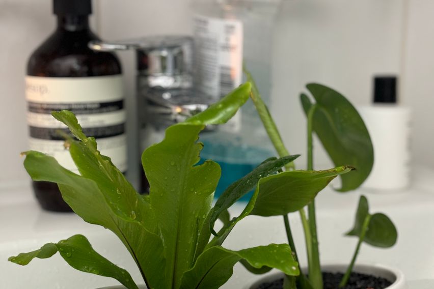 왕십리역지하연결성수종로