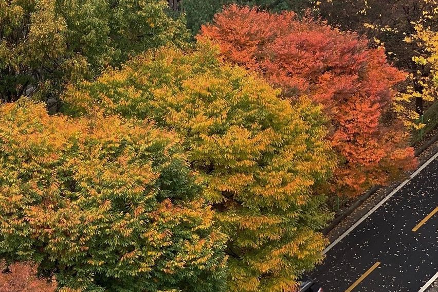 더블역세권 로얄층 뻥뷰 11번째 이미지