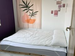 더 메모리 해피 11번째 이미지