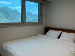 채니숲 3번째 이미지