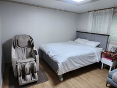 국화 18번째 이미지