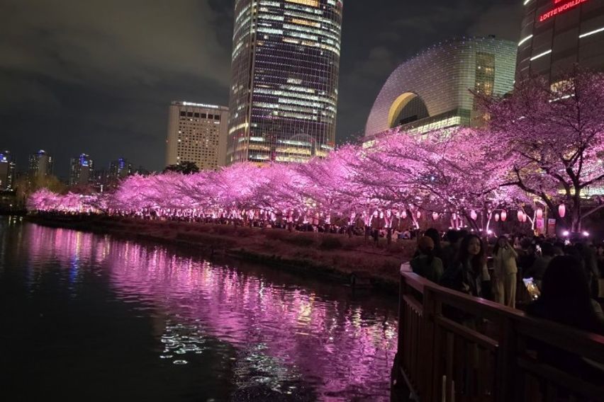 송파석촌 오픈✨️ 215 13번째 이미지