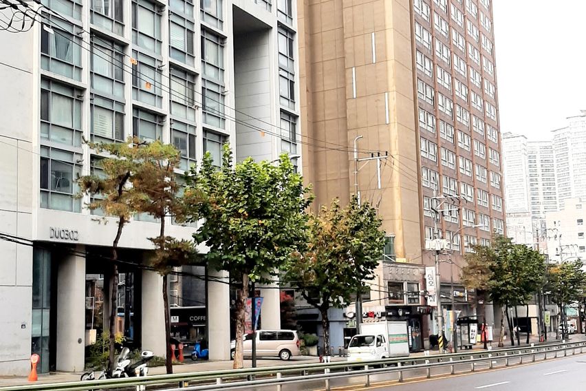 🌴신당동|청계천|동대문