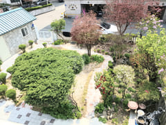 River House (Semi-basement) 15th image