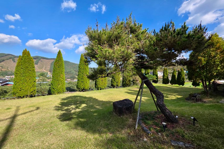 옥곡댁 15번째 이미지