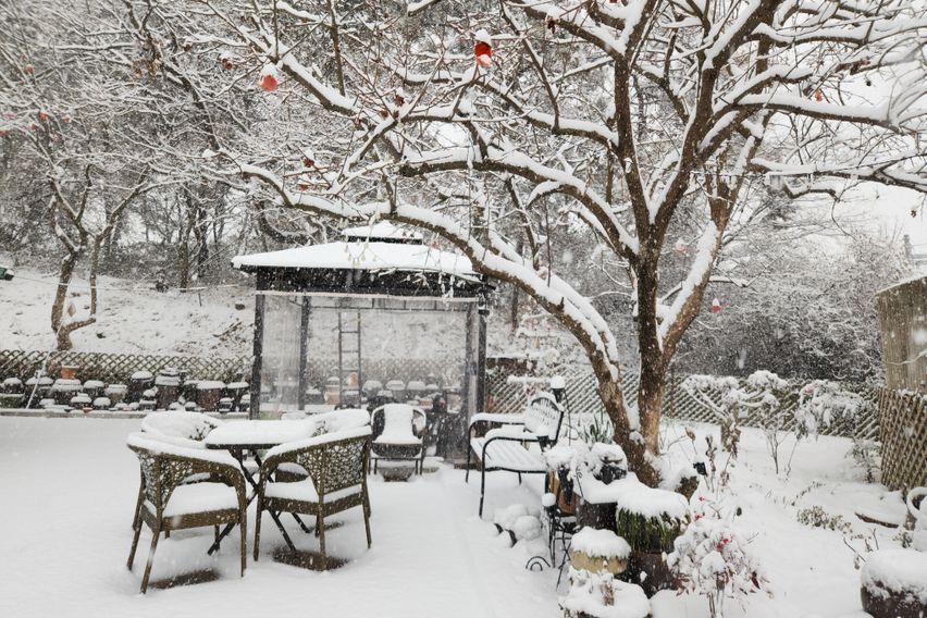 시골집촌캉스바베큐휴다헌 1번째 이미지
