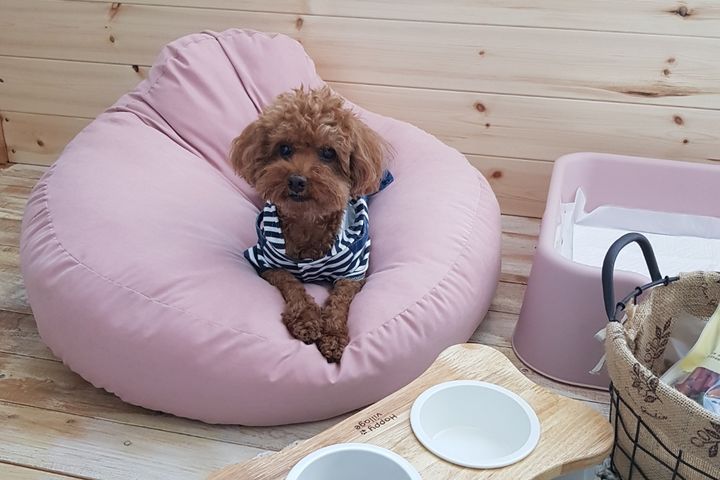 이호테우감성숙소공항 6번째 이미지