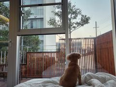 와본제주 호텔식1.5룸 11번째 이미지