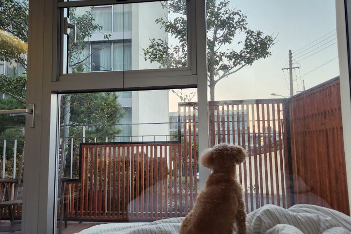 와본제주 호텔식1.5룸 11번째 이미지