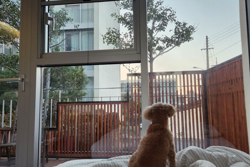 와본제주 호텔식1.5룸