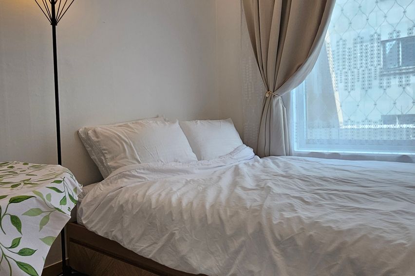 광화문/경복궁/BTS