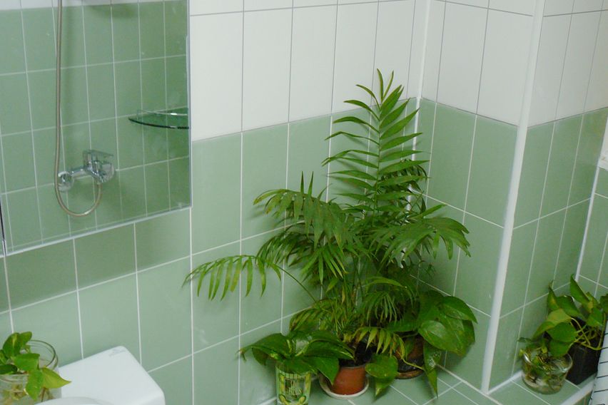  쉐어하우스 2층침대 0번째 이미지