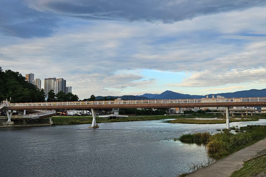 강릉민서네A가성비최고
