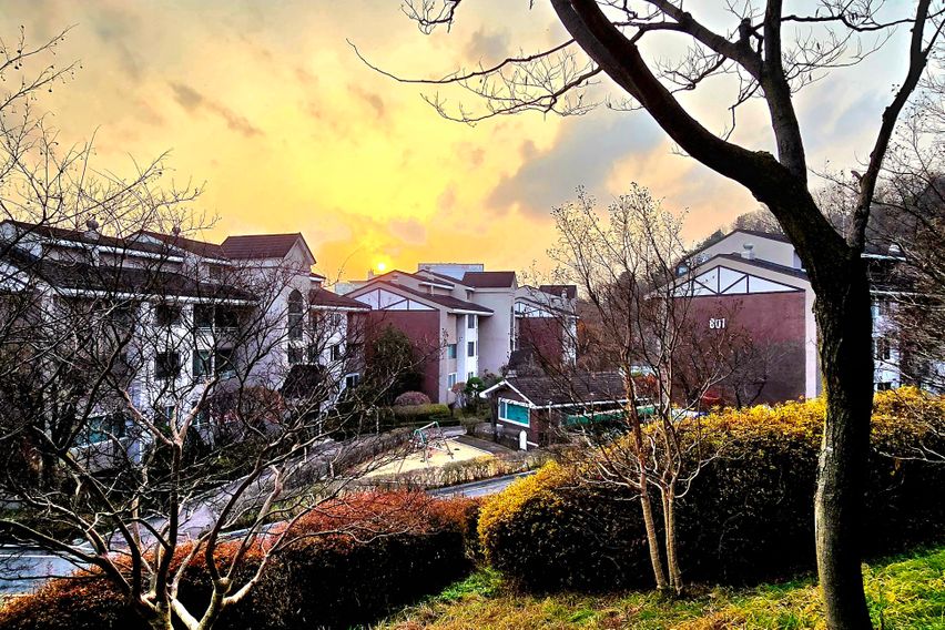 고급발라303의 방2호 8번째 이미지