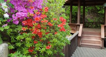 계곡 품은 집 (독채) 방 이미지