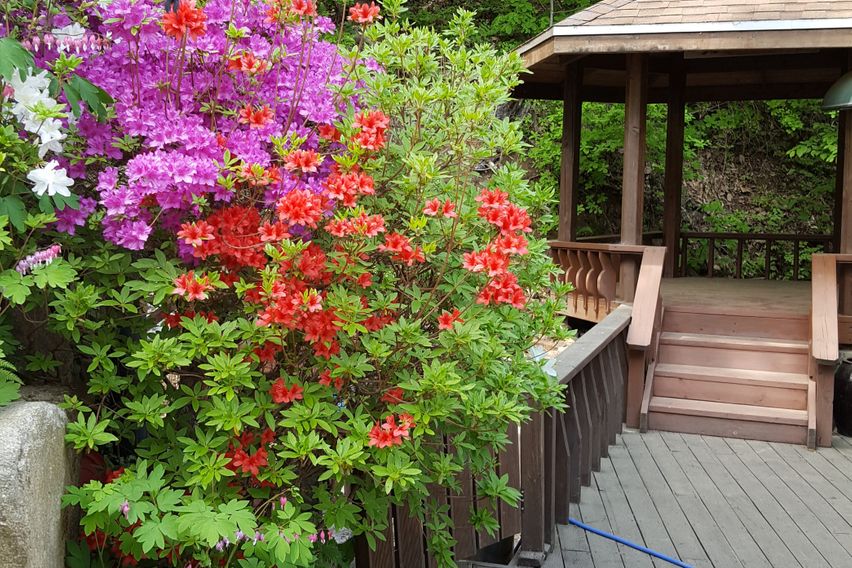 계곡 품은 집 (독채) 0번째 이미지