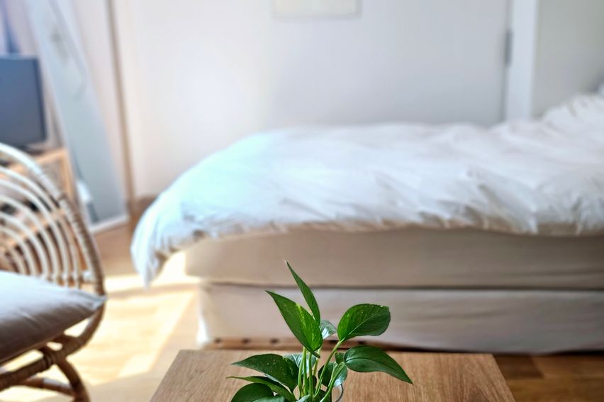 홍대신촌사이풀옵션8평