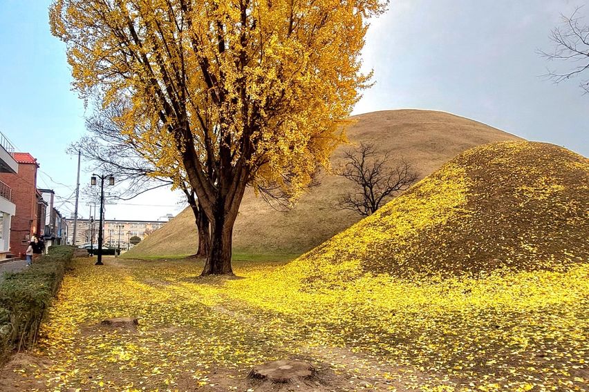 터미널도보3분205호 15번째 이미지