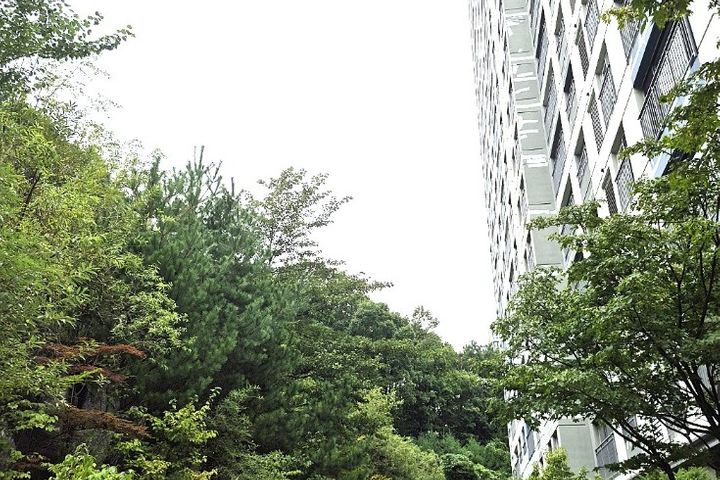 동천역34평숲속아파트 13번째 이미지