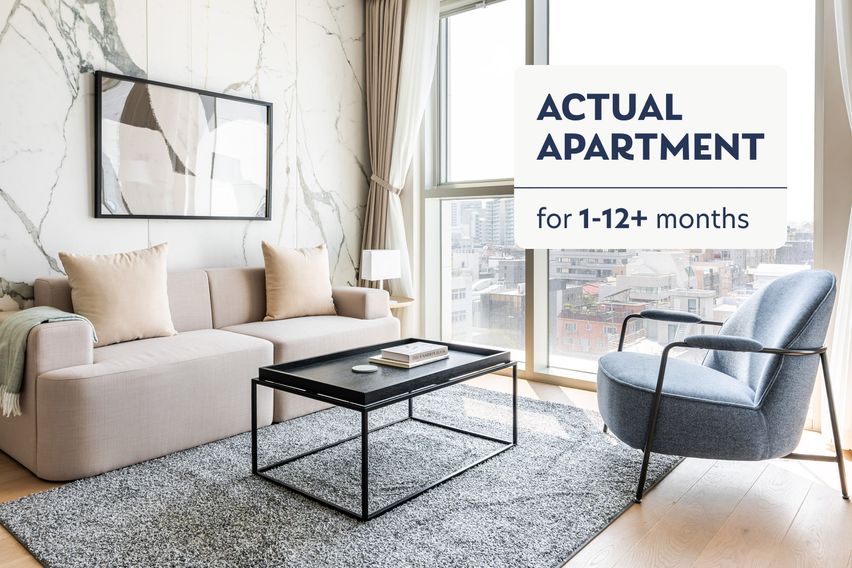 #20블루그라운드논현