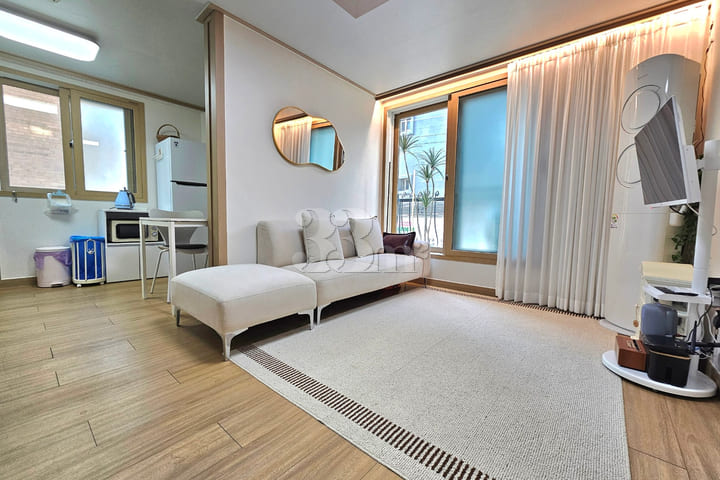 1 minute from the Han River; fully furnished;