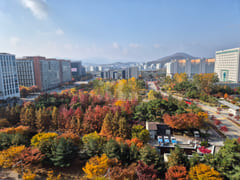 🪴Duplex with Terrace View – Fully Furnished 1th image