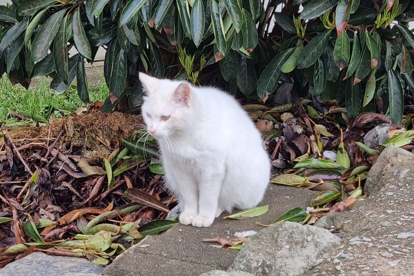 통영진우원룸 A호