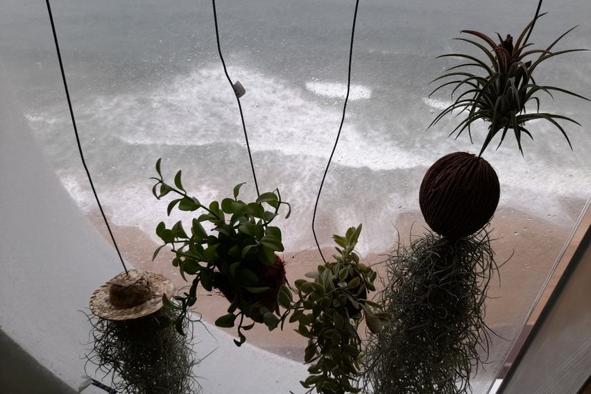 광안대교환상정면오션뷰