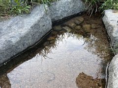조용한 산책, 힐링의 9번째 이미지