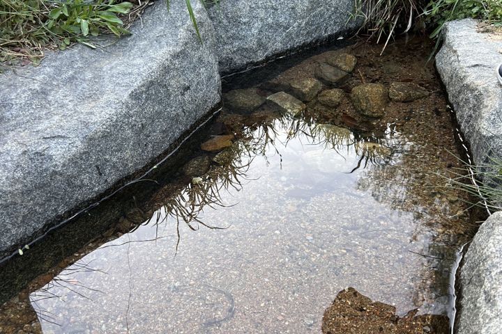 조용한 산책, 힐링의 9번째 이미지