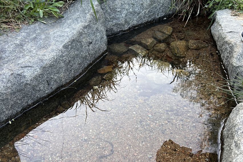 조용한 산책, 힐링의