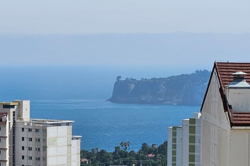 🌈서귀포하프오션뷰