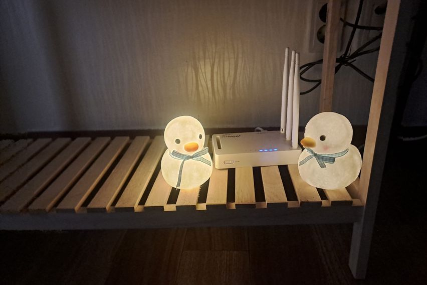 태화강국가정원과우정혁신